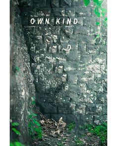 an old brick wall with the word own kind written on it in green ink and surrounded by leaves