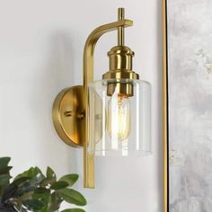 an antique brass wall light with clear glass shades on the front and back of it, next to a potted plant