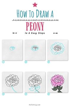 Step by step images demonstrating a How to Draw a Peony - A Drawing Lesson for Kids! Draw Peony, Flower Drawing Tutorial Step By Step, Draw A Peony, Flower Drawing For Kids, Nature Mandalas, Peony Drawing, Simple Flower Drawing, Easy Flower Drawings, Chasing Rainbows