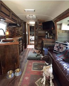 a dog is sitting on the floor in front of a living room with wood paneling