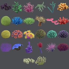 an assortment of different types of corals and algaes on a gray background with clipping