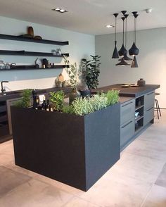 a kitchen filled with lots of counter top space and plants in the middle of it