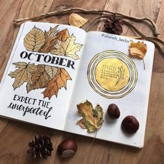 an open book sitting on top of a wooden floor next to leaves and acorns