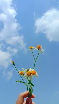 a person holding flowers in their hand under a blue sky with white clouds and green leaves