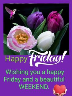 a happy friday card with tulips and a heart in the middle on purple background