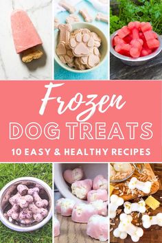 frozen dog treats that are easy and healthy