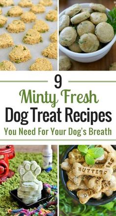 there are many different dog treats in this collage with the words, 9 minty fresh dog treat recipes you need for your dog's breath