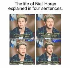 the life of nail horan explaining his experience in four sentences on tv