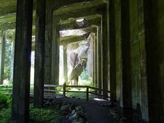 the inside of an old abandoned building with columns and moss growing on the ground below