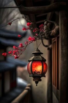 Image Zen, Glow Night, Old Lanterns, Japanese Lanterns, Autumn Magic, Lantern Lamp, Autumn Scenery, Street Lamp, Jolie Photo