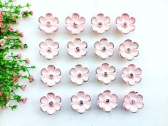 pink flowers are arranged on a white surface