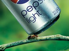 a can of pepsi light sitting on top of a tree branch with a spider crawling underneath it