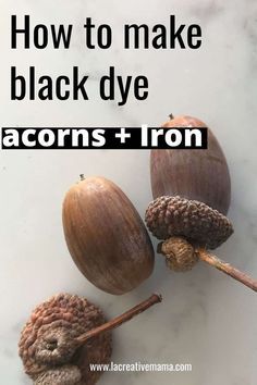 acorns and iron with the words how to make black dye acorns + iron