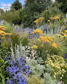 many different types of flowers in a garden