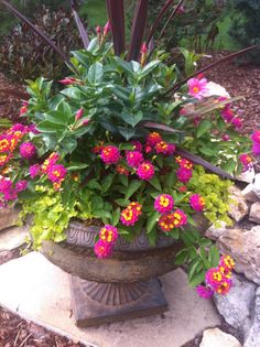 a potted plant with pink and yellow flowers in it sitting on a stone walkway