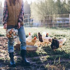 Chicken Photography, Future Farms, Farm Photography, Photo Food, Zoom Photo, Have Inspiration, Ranch Life, Farms Living, Hobby Farms