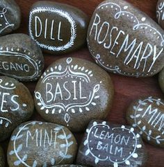 some rocks that have writing on them