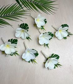 white flowers and green leaves are arranged on a wooden surface with palm fronds