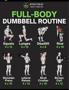 the full - body dumbbell routine is shown in this graphic style, and shows how to