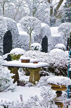 a garden covered in snow with lots of trees and bushes on either side of the bench