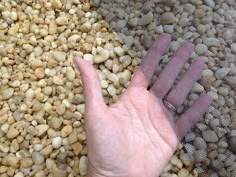 a person's hand holding a purple comb over rocks and gravel on the ground