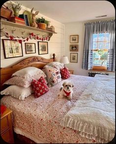 a small dog sitting on top of a bed in a room with pictures above it