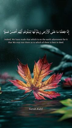 a leaf floating on top of water next to a quote from surah kahlf