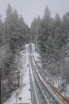 a train traveling through a snow covered forest next to tall pine trees on a snowy day