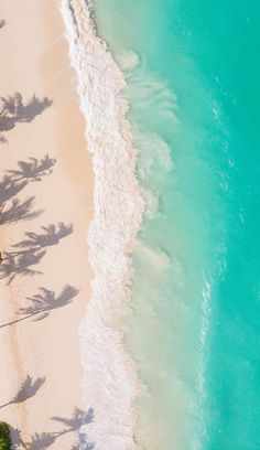 aerial view of beach with palm trees and turquoise water