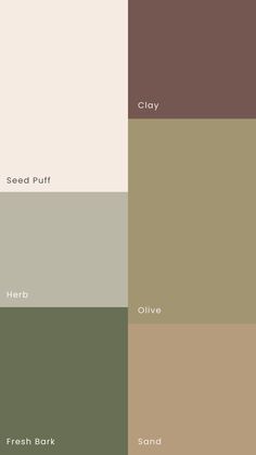 A mood board featuring an earthy tone color palette with swatches of brown, green, olive, sand, sage, and beige. The colors are arranged in a visually appealing layout to evoke the tranquility and natural beauty of a serene landscape. Ideal for inspiring branding projects, wellness designs, or elegant wedding themes, the palette combines rich, warm tones with soft, neutral hues to create a harmonious and sophisticated aesthetic. Earthy Shades Color Palette, English Colour Palette, Home Interior Color Palette, Green And Brown Living Room, Branding Colour Palette, Pallette Color, Sage And Beige, Natural Colour Palette, Colours Palette