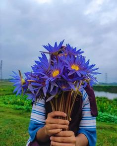 #waterlily  #nature  #flowers  #water  #flower  #pond  #waterlilies  #summer  #lake  #garden  #green  #lily  #naturelovers  #plants  #lotus  #travel  #flowerphotography  #flowerstagram  #painting  #pink  #naturephotography  #photography  #art  #beautiful  #love  #photooftheday  #instagood  #pinterest  #weheartit  #pinterestinspired Fb Pic, Nature Photography Quotes, Green Lily, Flowers Water, Lake Garden, Nature Photography Flowers, Water Lily Pond, Best Nature Wallpapers, Beautiful Eyes Pics