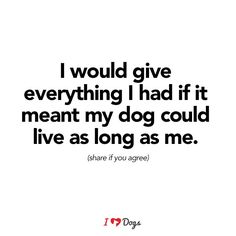 a quote that says i would give everything i had if it meant my dog could live as long as me