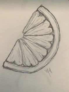 a pencil drawing of a slice of orange