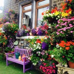 a purple bench sitting in front of a window filled with lots of different colored flowers