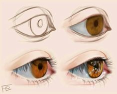 the different parts of an eye that you can see in this drawing process, including one brown and one blue