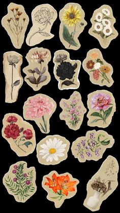 an assortment of flowers are shown on the back of a piece of paper that has been cut out