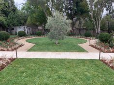 a garden with lots of green grass and trees