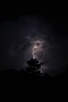 a lightning bolt is seen in the dark sky above a pine tree on a stormy night