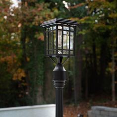 a lamp post in front of some trees with leaves on the ground and one light