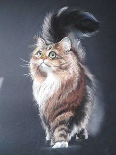 a painting of a cat with long hair on it's head and tail, standing in front of a black background