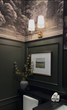 a bathroom with green walls and black counter top, white toilet and framed photograph on the wall