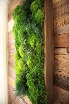 a moss covered wall mounted to the side of a wooden building with wood planks