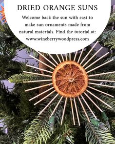 an orange sun ornament hanging on a christmas tree with the words, dried orange suns welcome back the sun with east to make sun ornaments made from natural materials