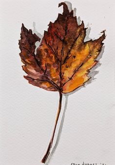 a watercolor painting of a single leaf