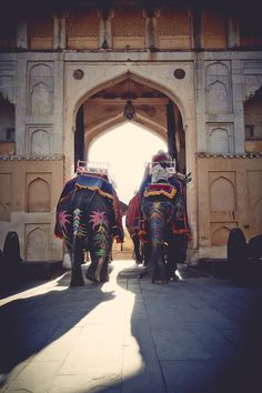 two elephants are standing in front of an archway