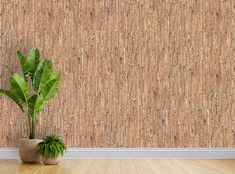 a potted plant sitting on top of a wooden floor next to a brown wall