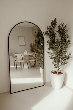 a potted plant sitting on top of a table next to a mirror in a room