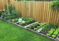 a garden with lots of plants in it next to a wooden fence and green grass