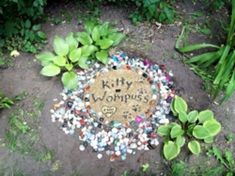 a garden with rocks and plants around it that says,'kitty kompus '