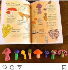 an open children's book with different types of mushrooms